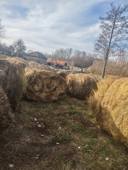 Baloti FAN 2025 ofer transport la cerere 160x120