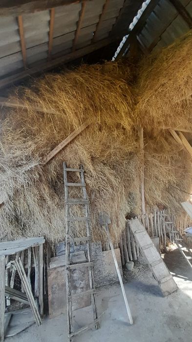 Fân de vânzare & otavă