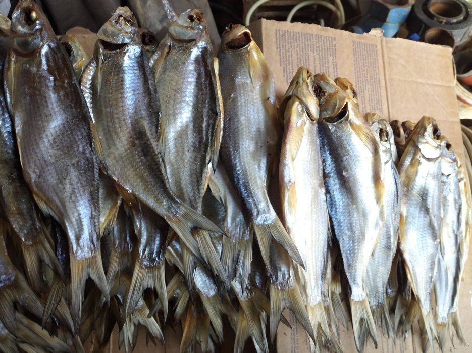 Рыба вяленая продаю.