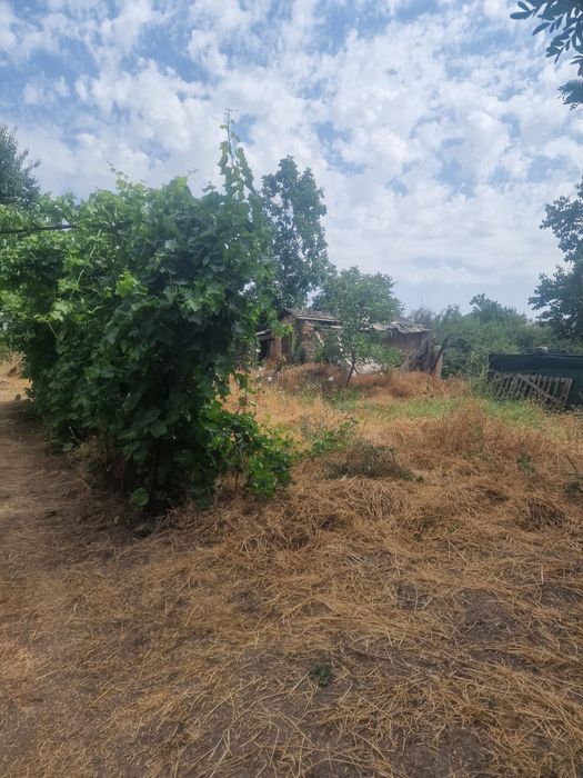 Участок с домом Ташкентская область