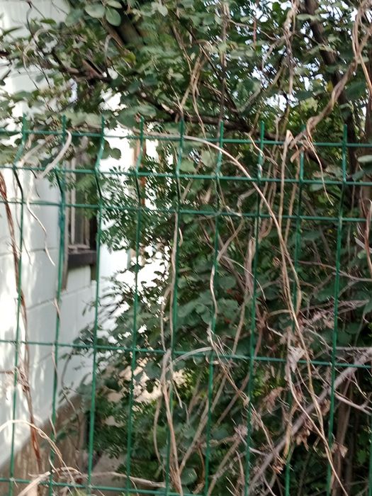 Продам дом на Мирном