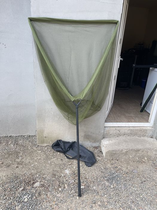 Minciog oakwood carp