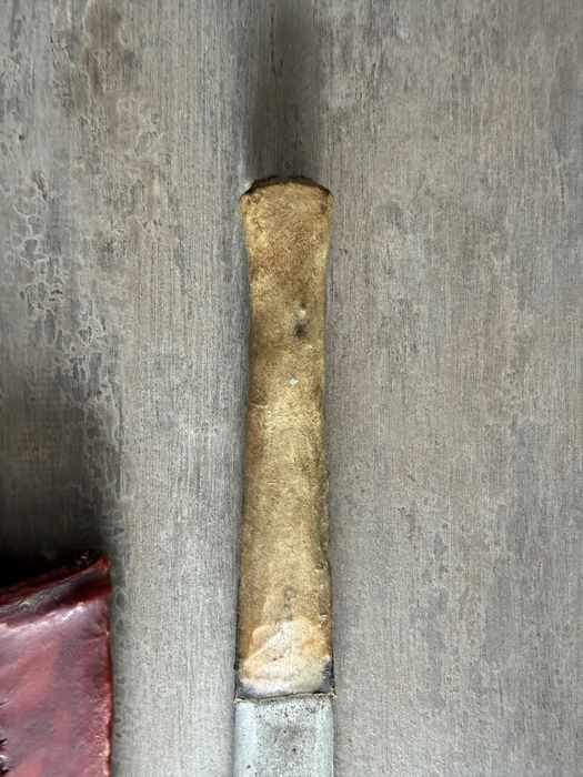 Sabie africana Maasai