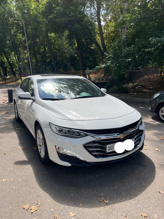 Malibu Premier 2020