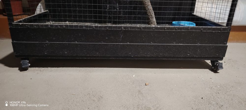 Qushlar uyasi bilan sotiladi