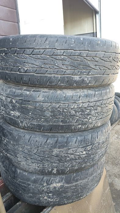 Шины континенталь лето