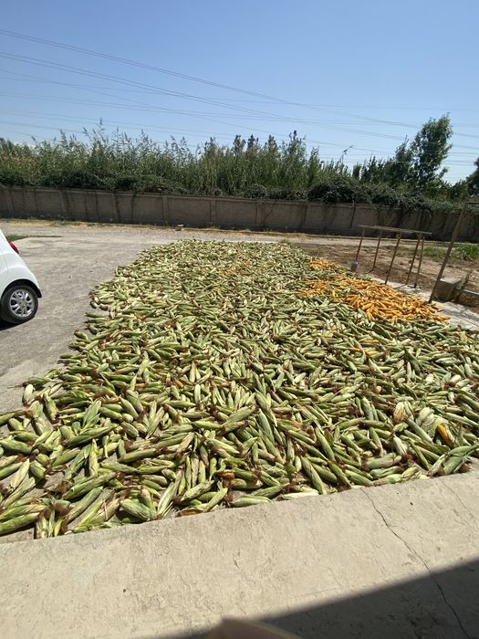 Makkajohori sotiladi