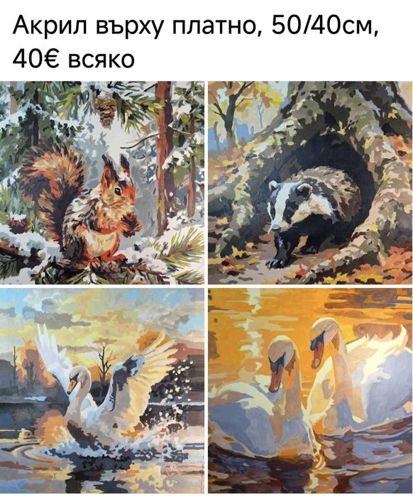Акрилни платна с размери 50/40