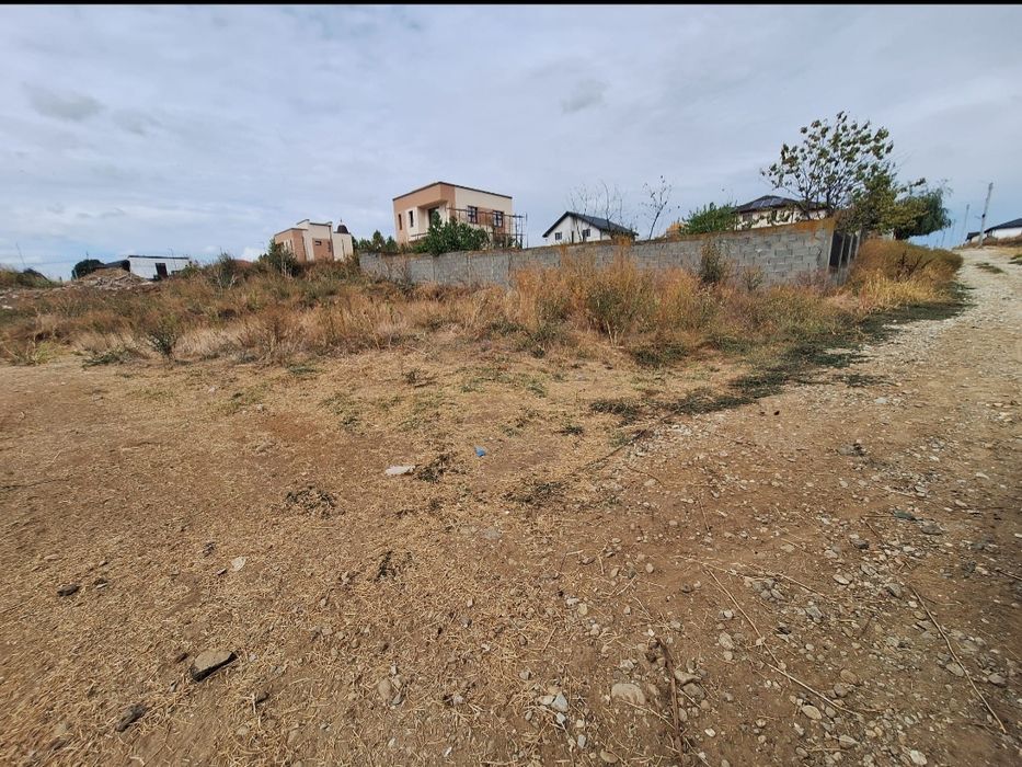 Teren intravilan de vânzare -  594 mp - Preajba - Malu Mare 53.000€.
