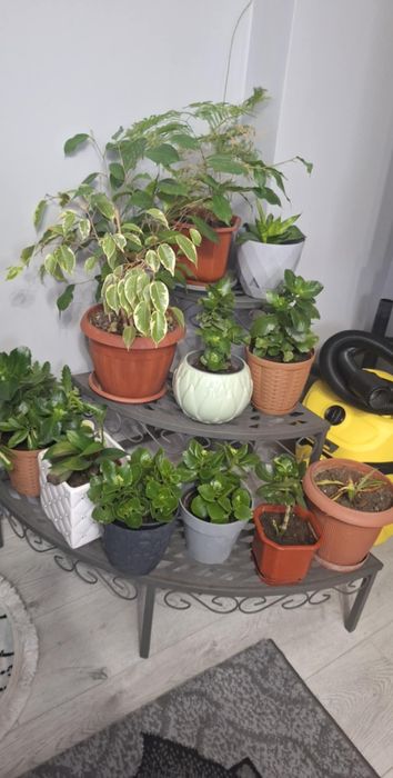 Цветарници  ъглови 3бр