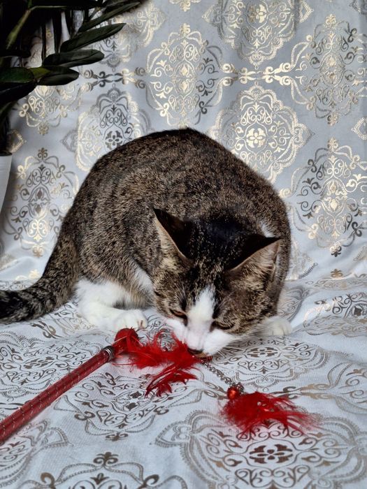 Только самым ответственным