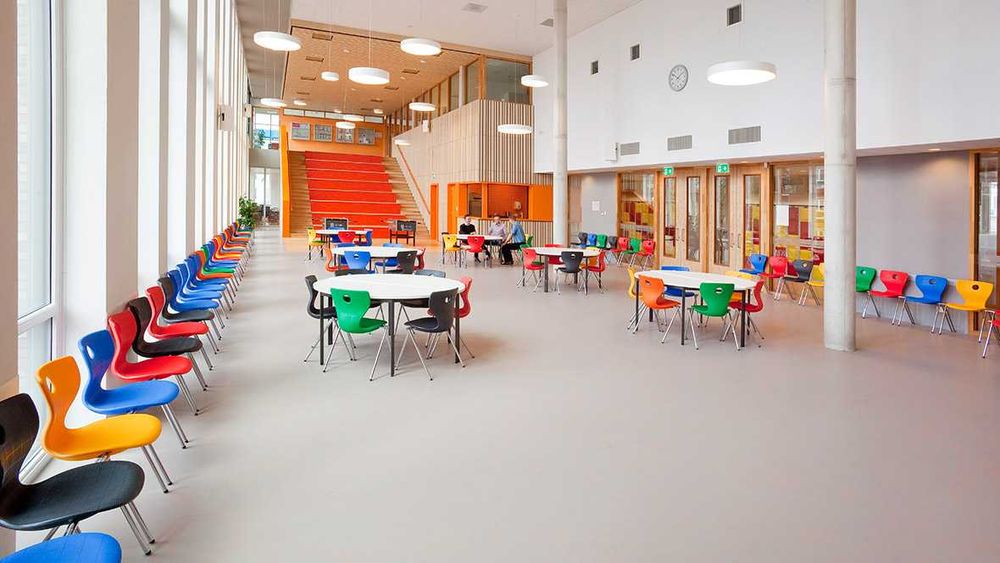 Гетерогеннный линолеум для образовательных учреждений