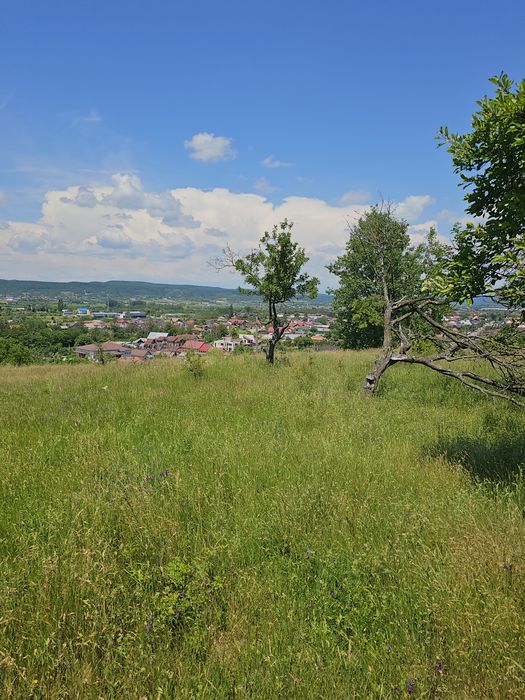 Teren EXCEPȚIONAL Colibași | Priveliște panoramică spre Pitești | Ideal casă sau investiție