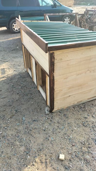 Бутки для собачий