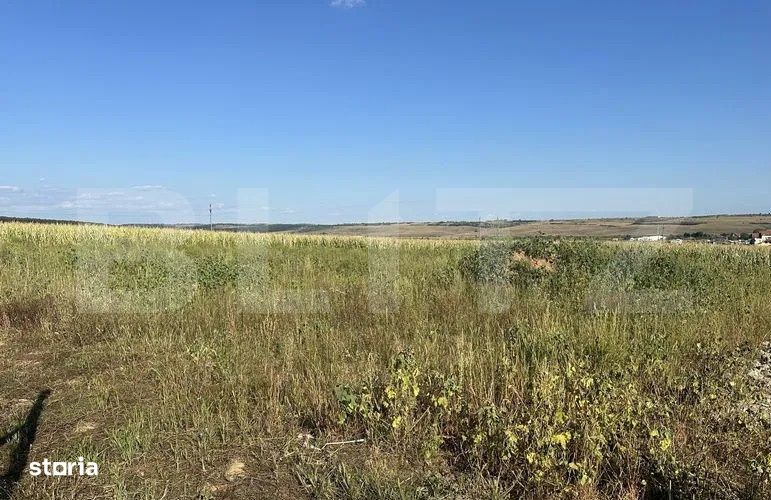 Teren intravilan, suprafata 11.500 mp, zona Marghita