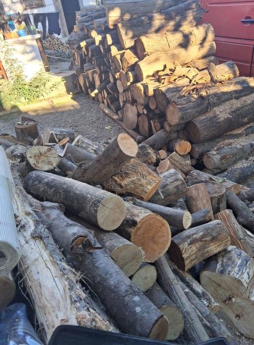 Lemne de foc fag, cârpen și brad