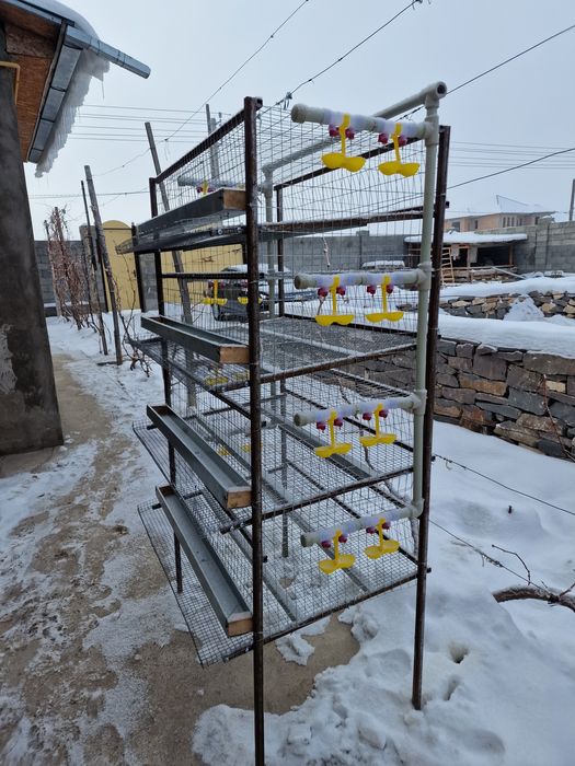 Бөденеге Клетка для перепелов