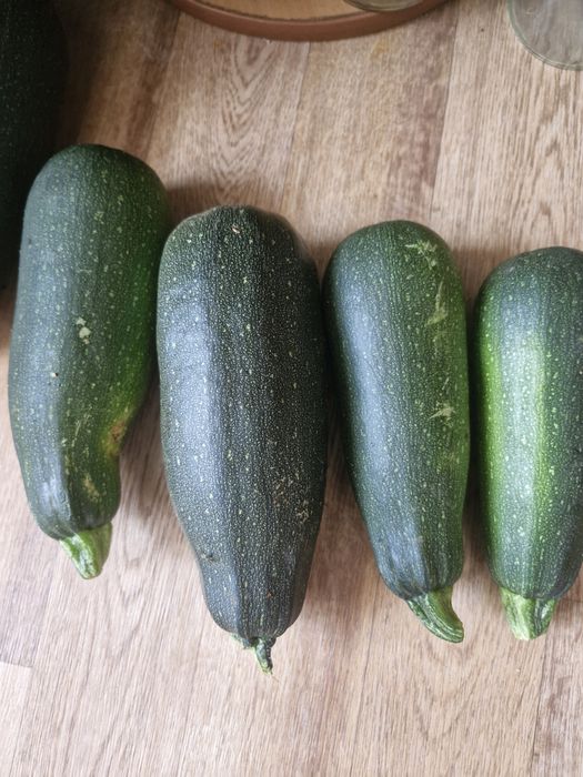 Кабачки домашние