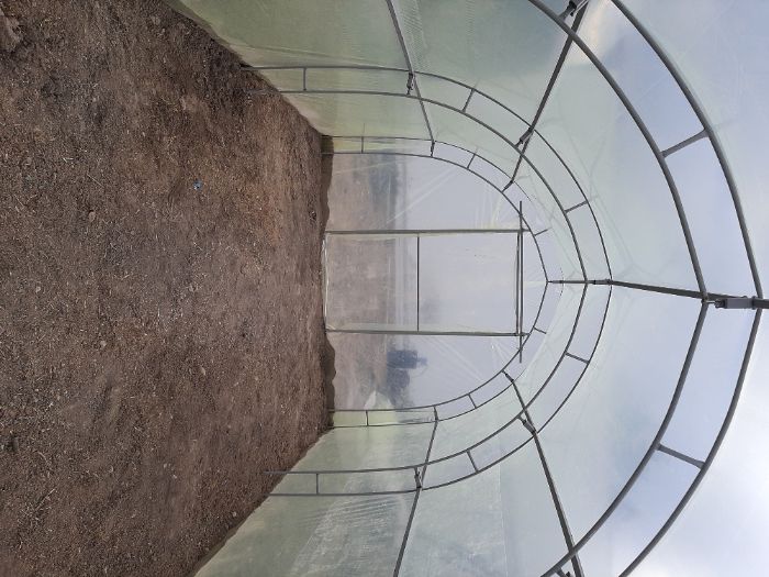 Оранжерии/Парници