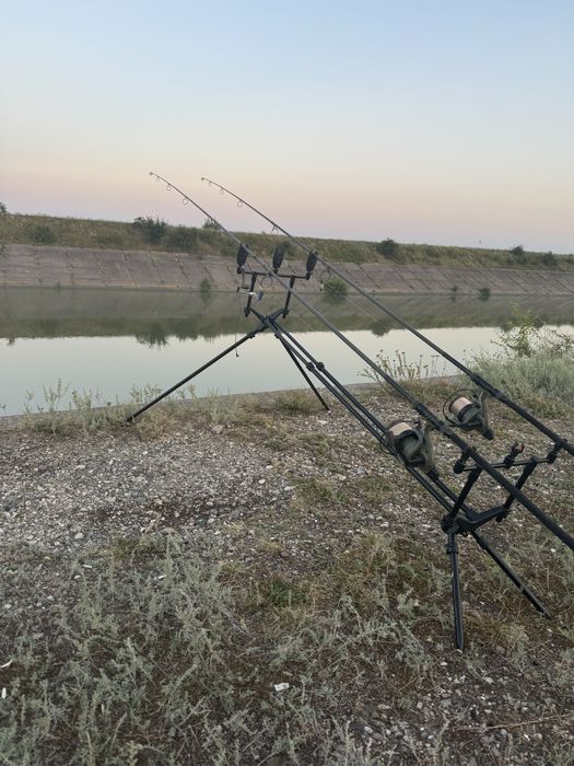 Rod pod Avid Carp Lok Down Altitude+ lansete Prologic+avertizori Prolo