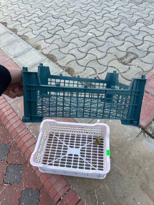 Яшик. YASHIK kolichestva bor