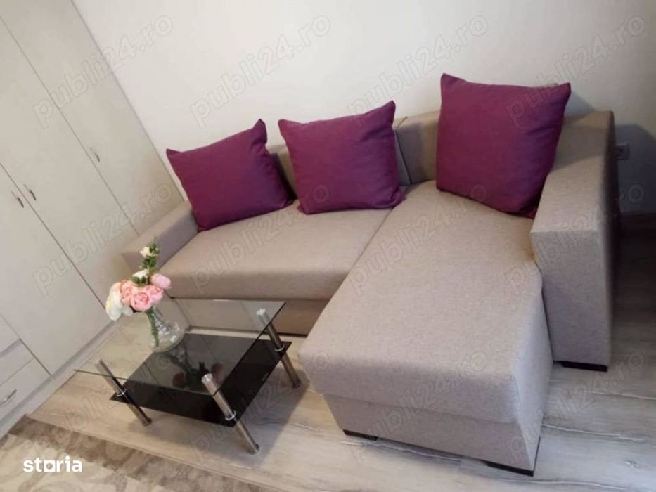 Garsoniera\Rosu\Mutare imediata\Anaf\Petfriendly