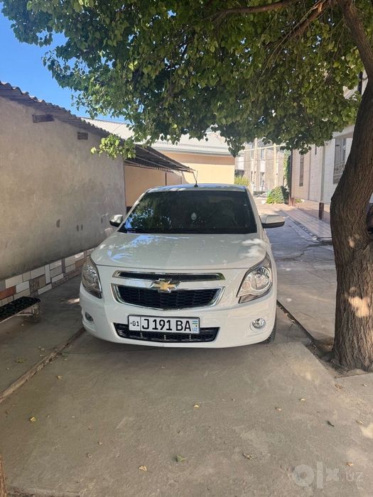 Cobalt LTZ 2023 full