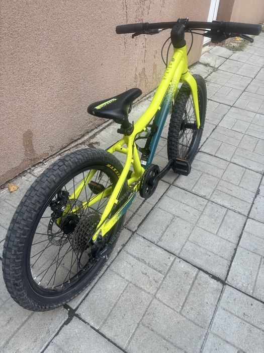 Scott Roxter 20”