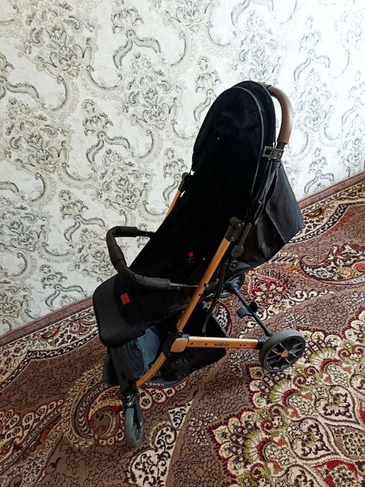 Kolyaska chamadonli  kocha kormagan) deymi
