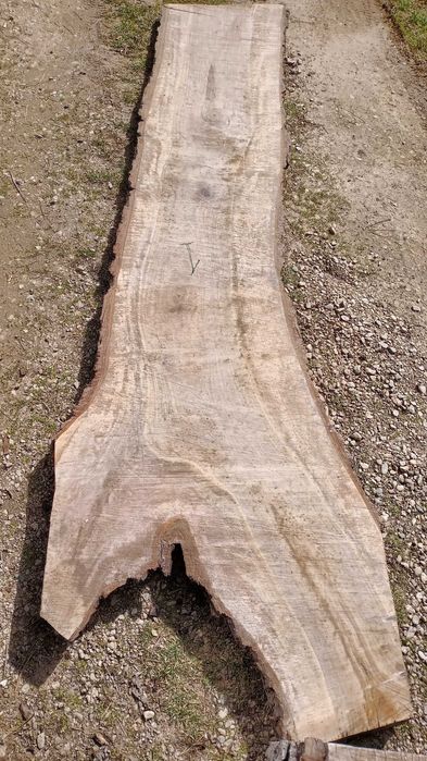 янове талпи орех