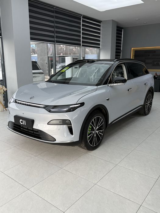 Leapmotor c11 300 km gibrit