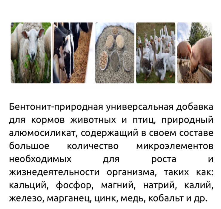 Bentonite - чорва ва парранда учун озука кушимчаси.