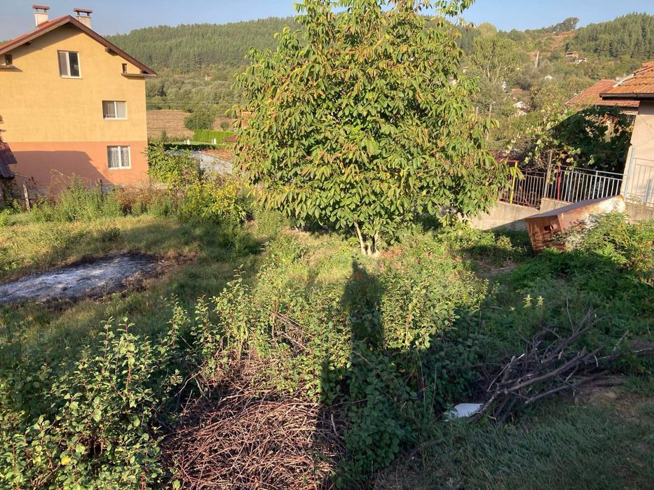 Извозване на отпадъци! Чистене на дворове с мини багер и бобкат!