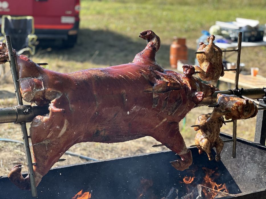 Porc , vitel si oaie facute la protap