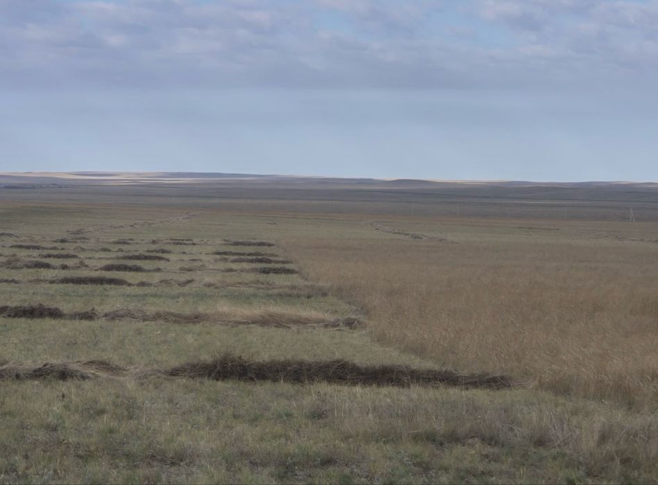 Продам крестьянское хозяйство