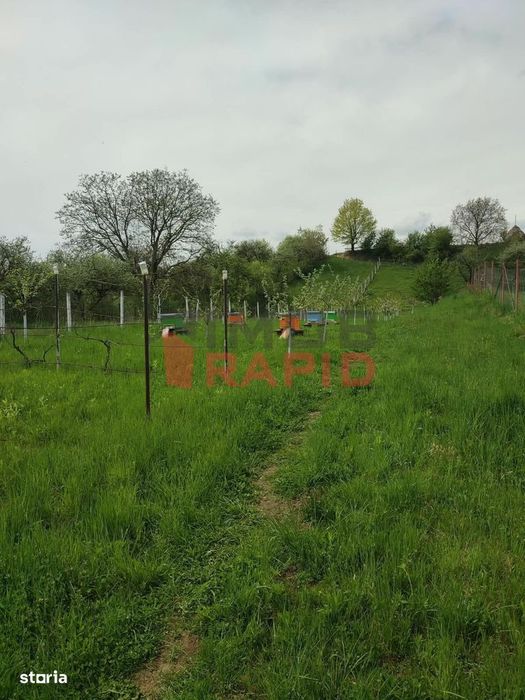 Teren intravilan 1.332mp, Prundu Bargaului