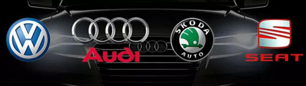 Diagnoza codari adaptări VAG Audi VW Skoda Seat Odis VCDS Obdeleven
