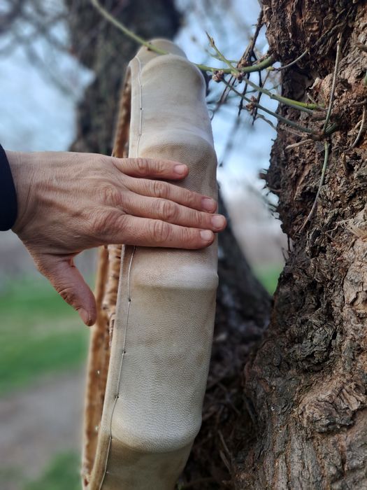 Шаманские   бубны