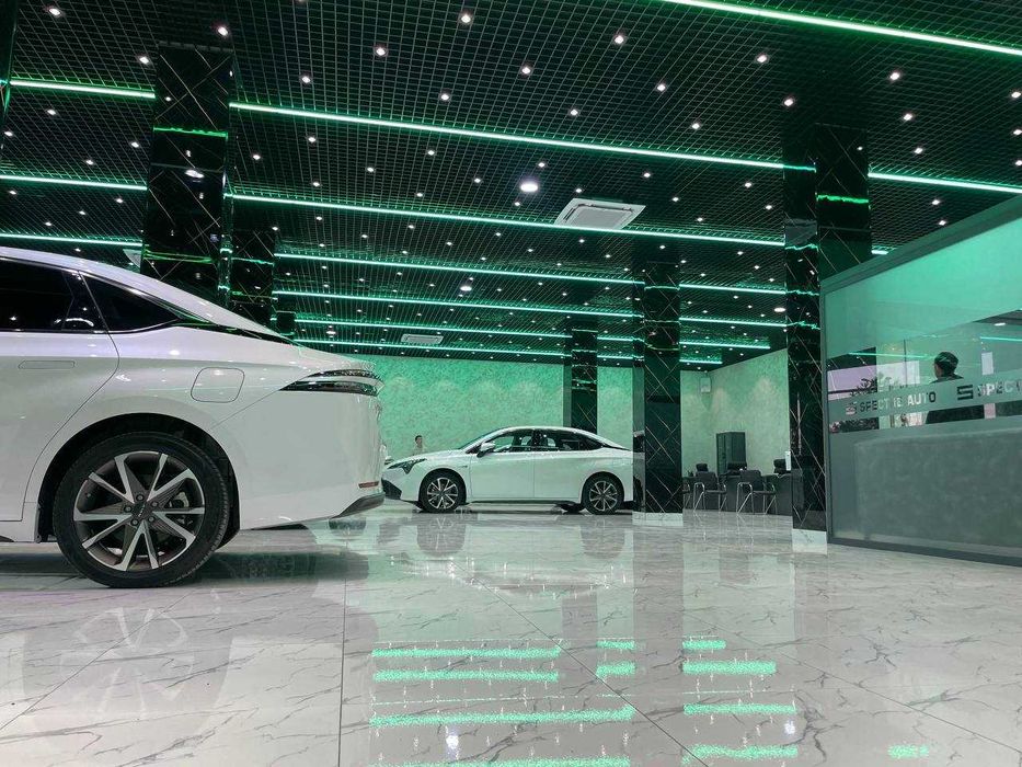 Grilyato potolok (подвесной потолок)(4)