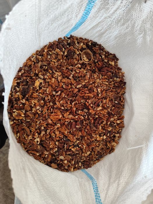 Nuca de vânzare 


,

producție 2024.