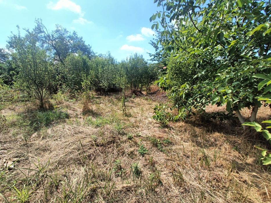 Curatare vegetatie, Salubrizare Igienizare, Defrisare Tocare crengi