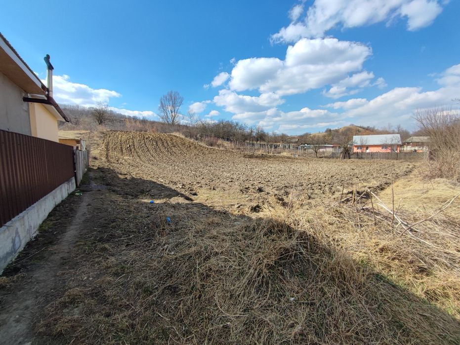 Teren intravilan Răcăciuni 2568 mp