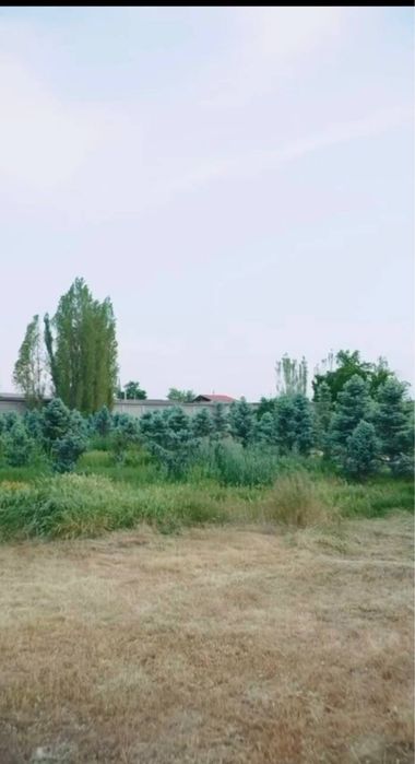 Келес Дача Сотилади