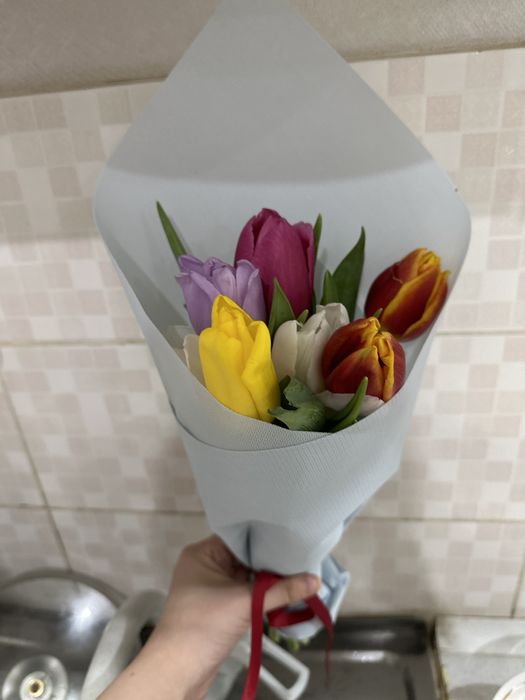 цветы тюльпаны ,маленькие.