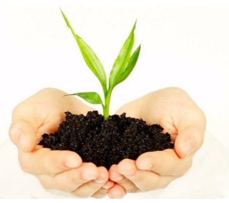 "Биогумус"удобрения для газона органические натуральный экологический