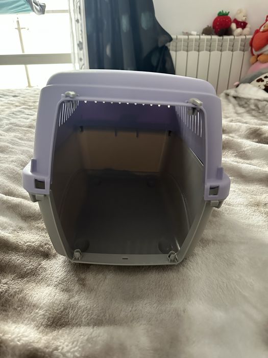 Cusca pisica, un sac de asternut paleti si doua de nisip