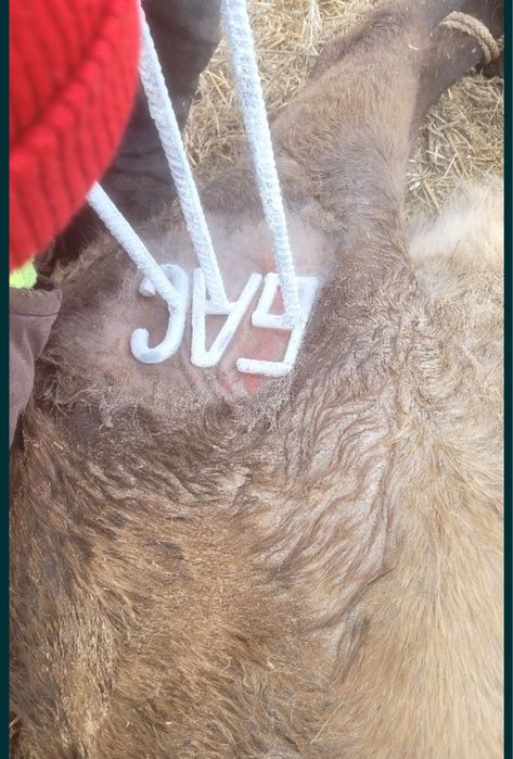 Жидкий азот, медецина