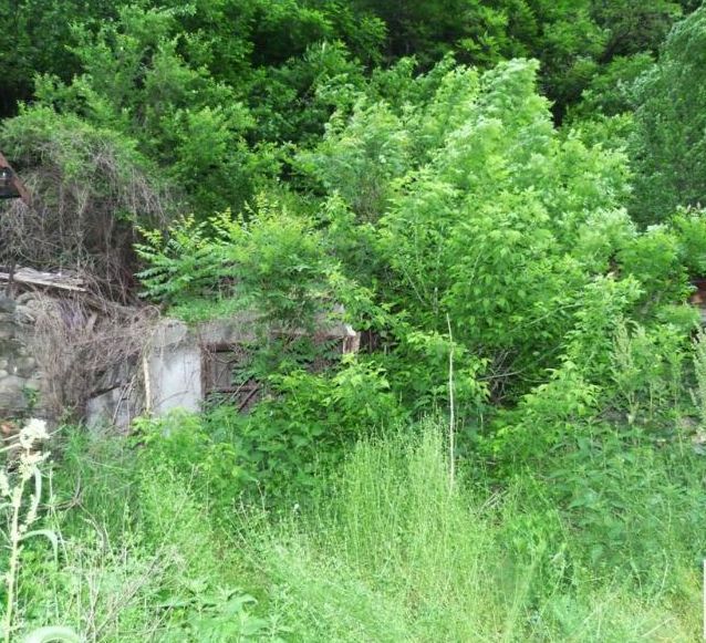 Парцел-къща идеално за сглобяема или строеж с паритиди вода и ток