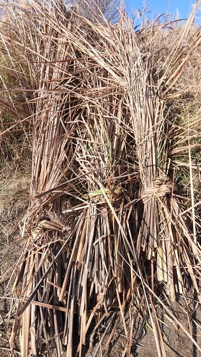 ЕКАН сотилади.упулдириксиз