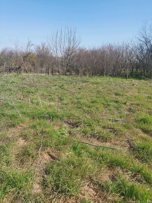 Продава се Къща в Стара Загора, Кольо Ганчев - 100 кв.м за 153 €/кв.м - Снимка #4